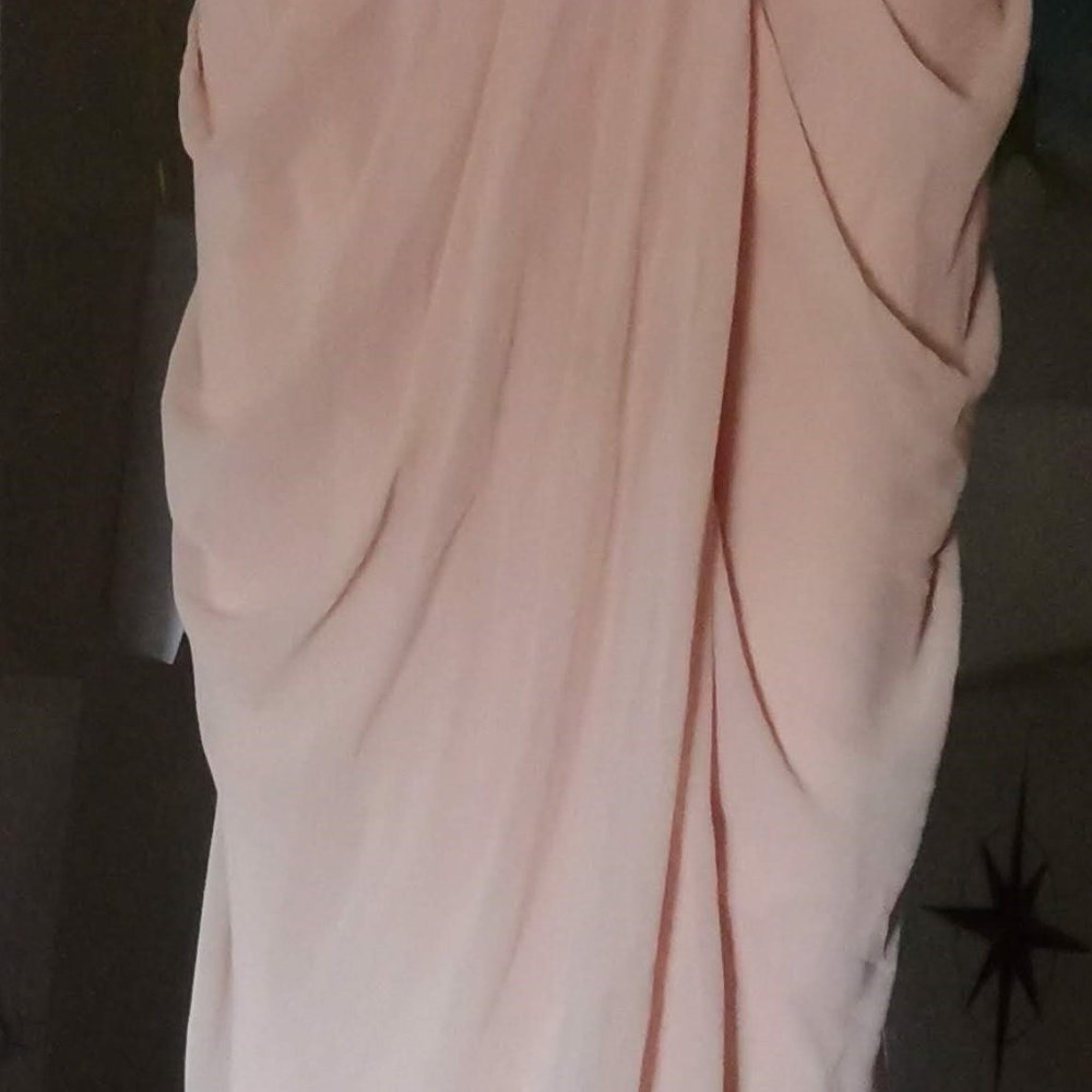 Bariano Australia peachy beige evening gown - Picture 5 of 5